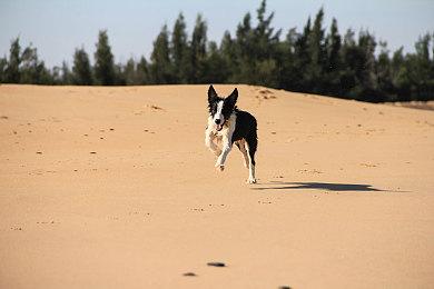 《绝地潜兵2》新战争债券“真相执行者”下周推出